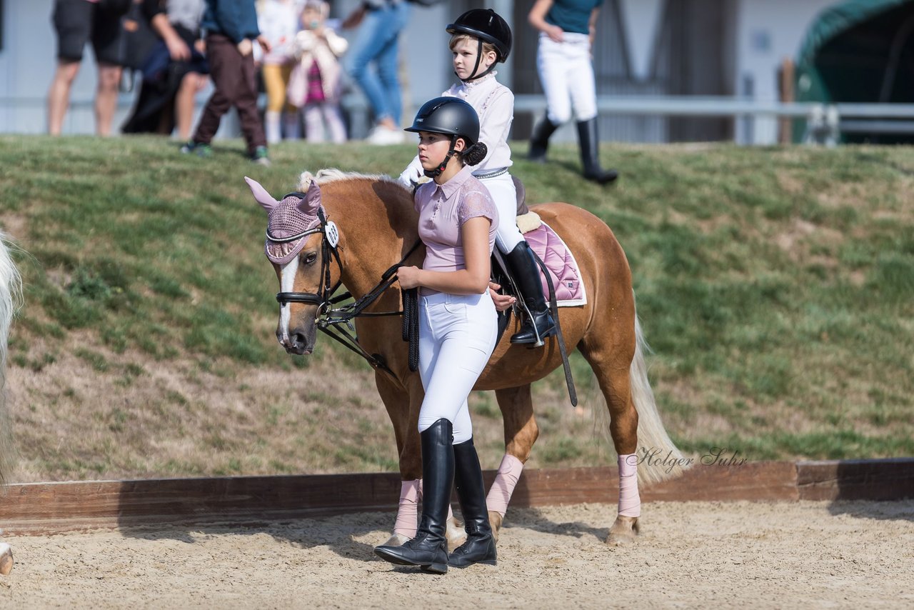 Bild 3 - Pony Akademie Turnier